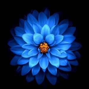 Meet your Posher, Beatriz